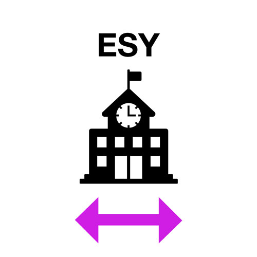 ESY - image