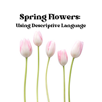 Spring Flowers: Using Descriptive Language preview