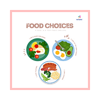 Food Choice Visual Aid preview