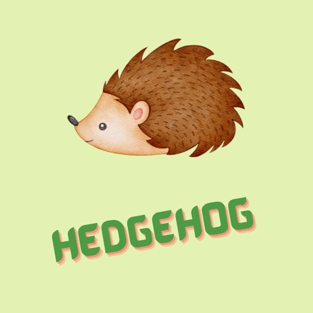 Hedgehog preview