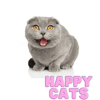 Happy Cats Resources preview