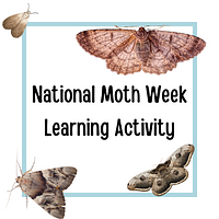 National Moth Week Learning Activity preview