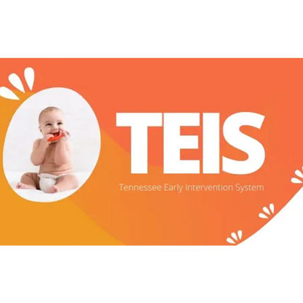 TEIS (Tennessee's Early Intervention System)