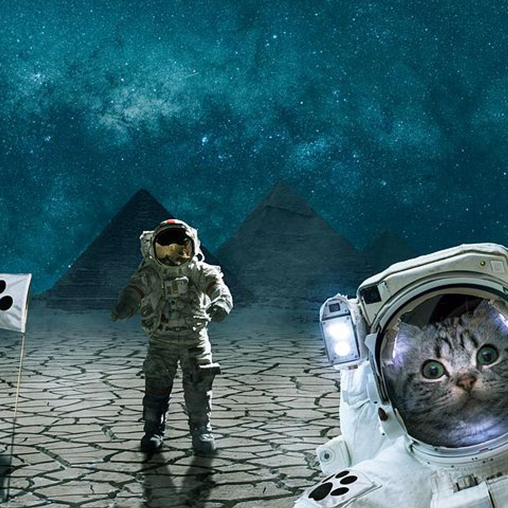 Cat In Outerspace