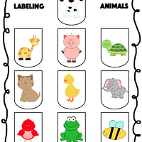 Labeling Animals preview