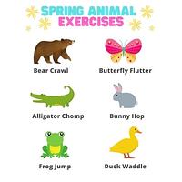 Spring Animal Exercises preview