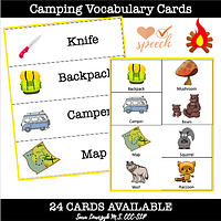 Camping Vocabulary Cards preview