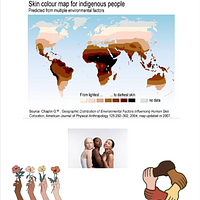 Skin Color World Map preview