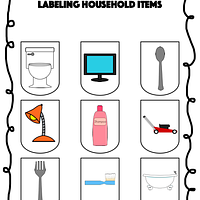 Labeling Household Items preview