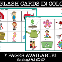 Articulation R Flash Cards: All Positions, preview